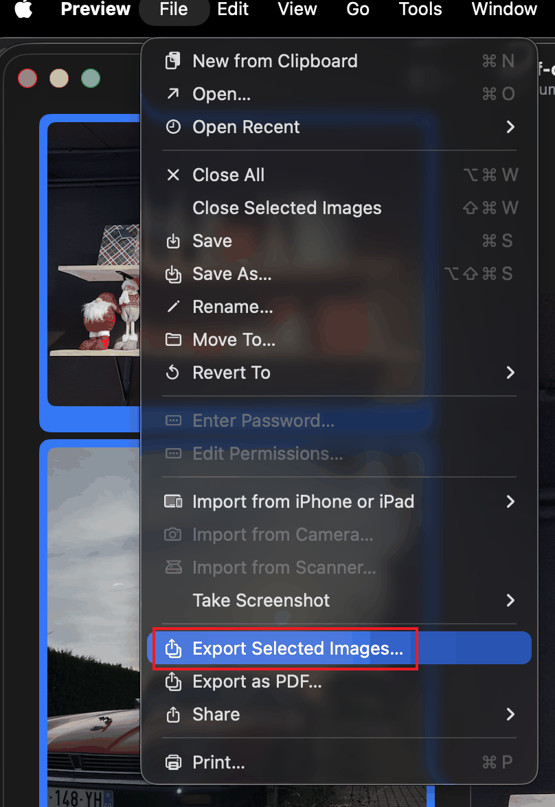 Export heic image